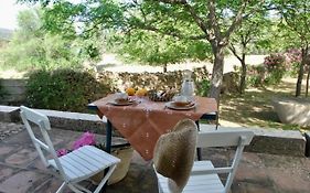 Finca La Vicaria Palomar